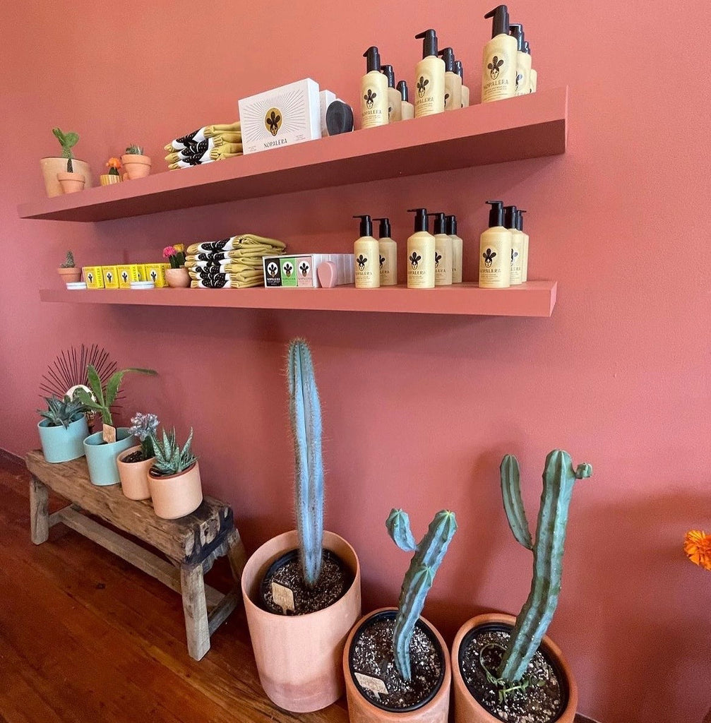 12 Latinx-Owned Brands to Know: Nopalera